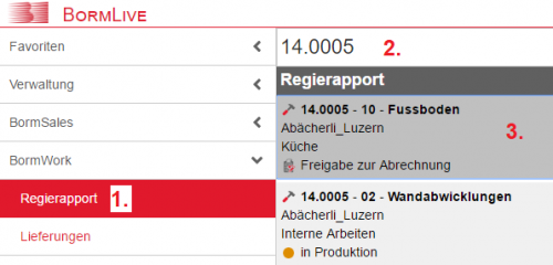 BormWork-Regieauftrag