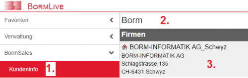 BormSales-Kundeninfo